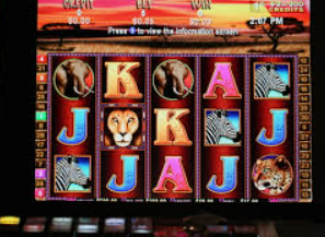 新普京com2024最新版