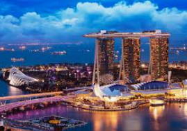 新普京com免费版