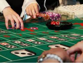 新普京com电脑免费版